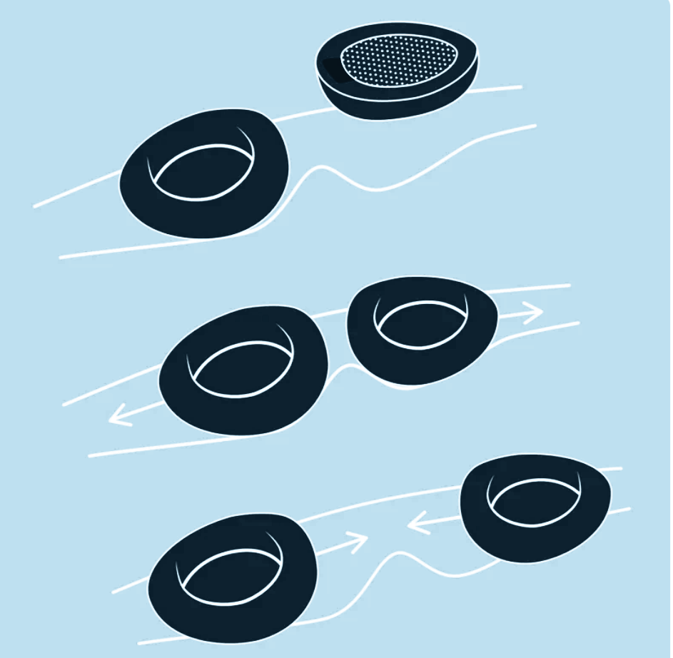 Section 2 Image 2