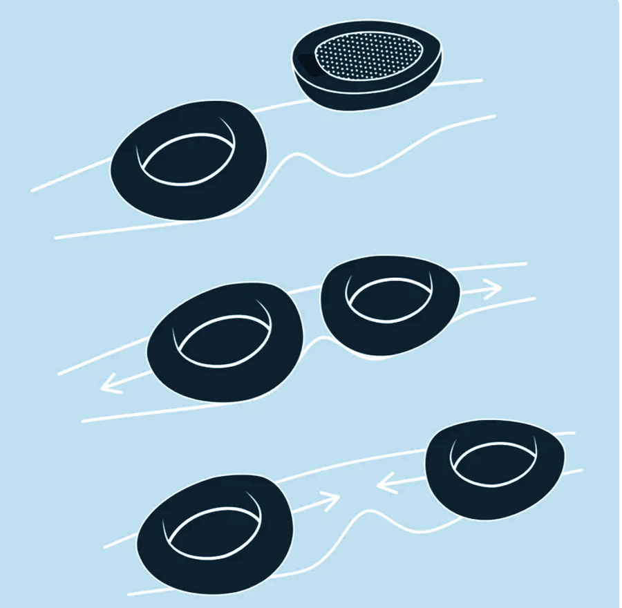 Section 2 Image 2